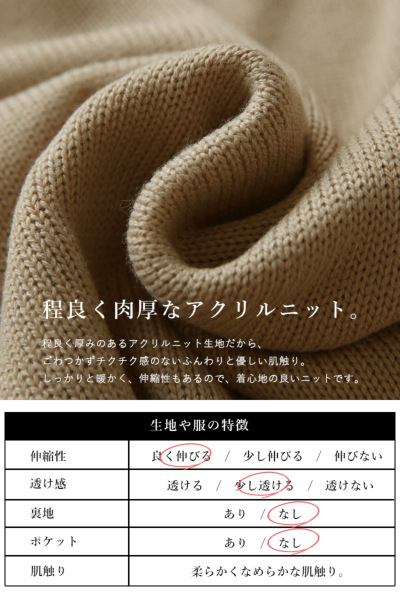 ボトルネックニットトップス F 【メール便対応不可】 レディース