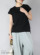 StyleImage