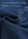 StyleImage