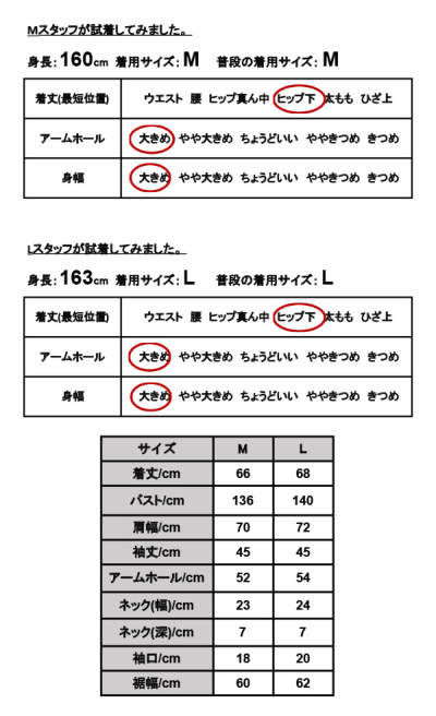 ニット レディース 秋冬 長袖 ダメージデザインニット M L 【メール便