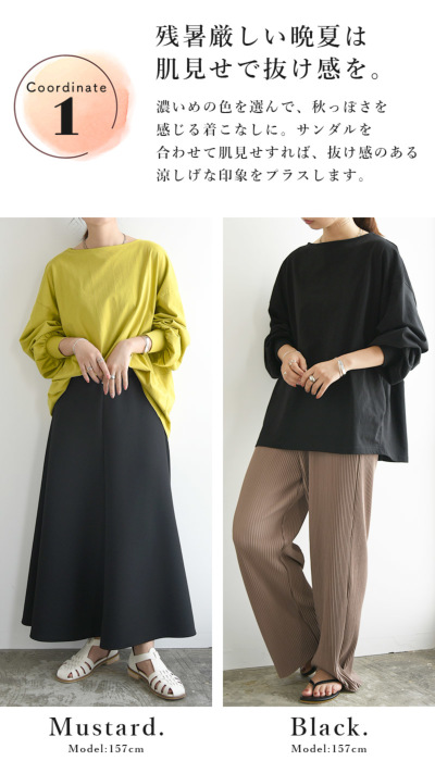 【着用3回】Rene♡ルネ　コットンサマージャケット　ボーダー♡ホワイト セール】マルチウェイバルーンカラー/付け襟（付け襟）｜ap