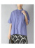 StyleImage